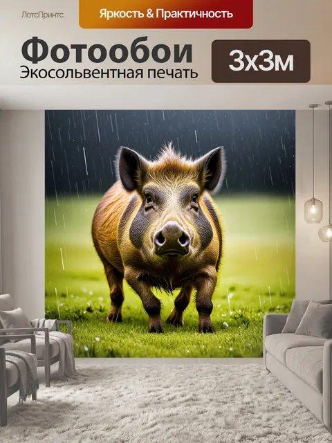 Фотообои кабан, медленно выходящий на открытое поле в преддверии дождя, его глаза полны решимости