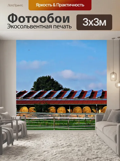Фотообои Поле