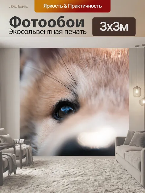 Фотообои Собака