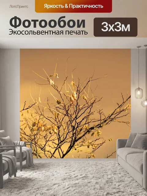 Фотообои Осень