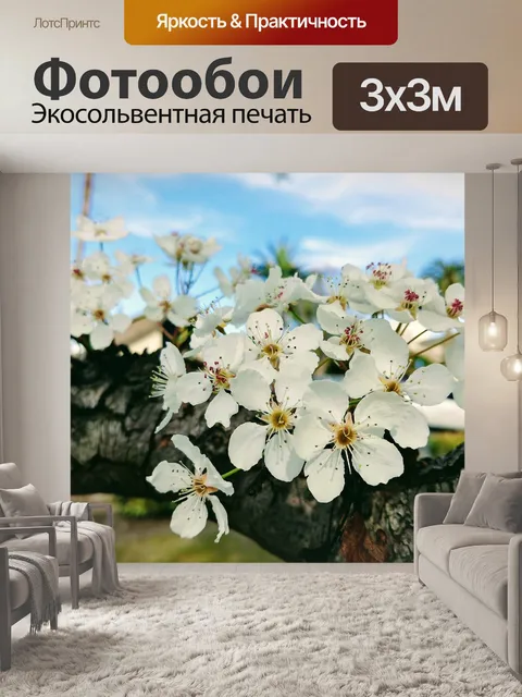 Фотообои Персиковый цвет