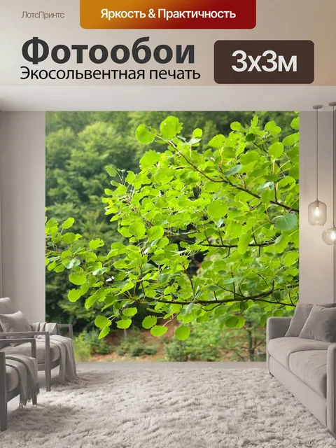 Фотообои Листья