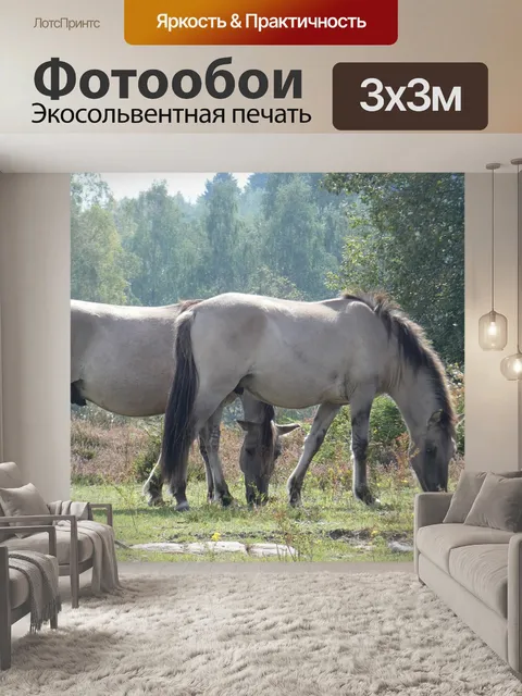 Фотообои Лошади