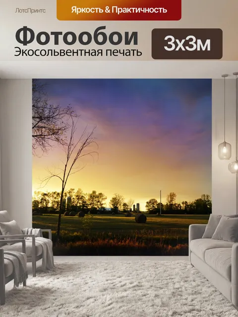 Фотообои поле на закате