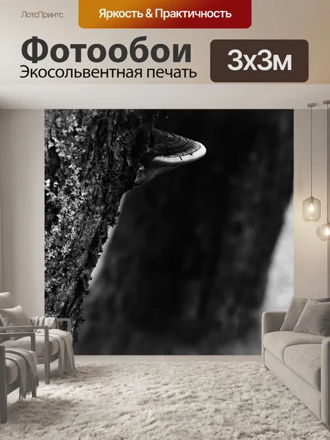 Фотообои Гриб