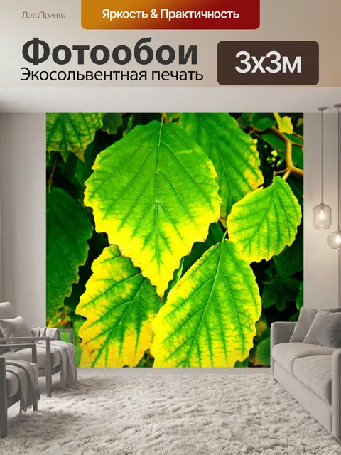 Фотообои Листья