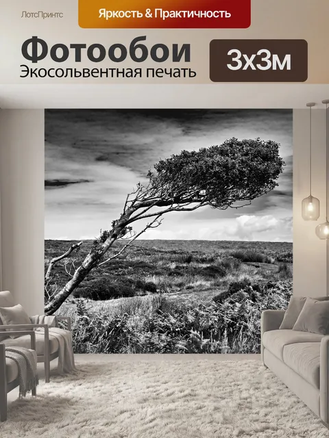 Фотообои Монохромный