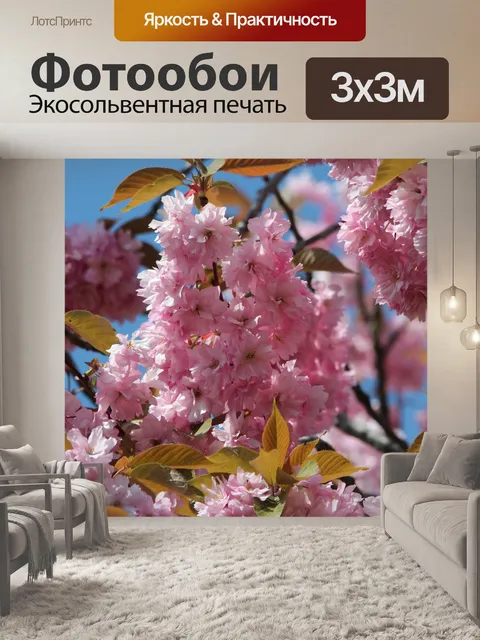 Фотообои Японская сакура