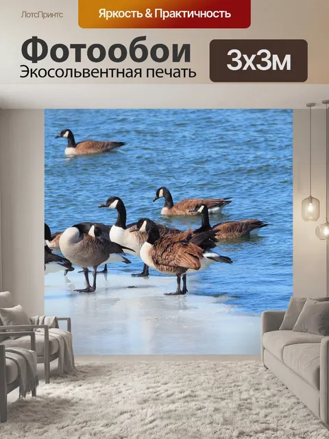 Фотообои Гусь
