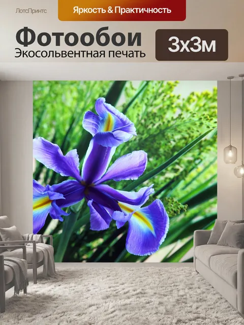 Фотообои Ирис