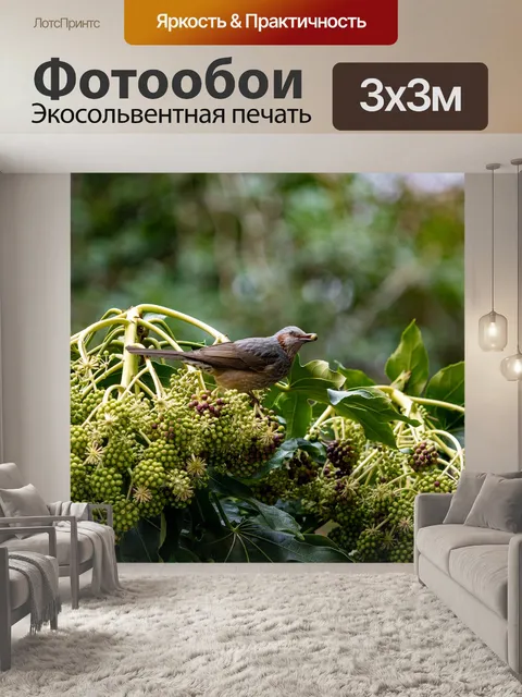 Фотообои Древесина