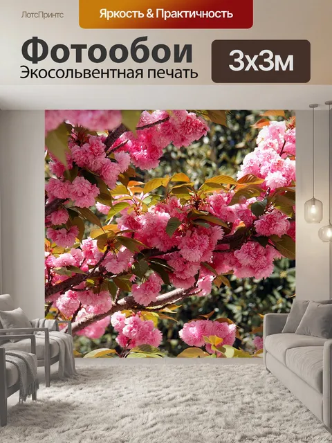 Фотообои Японская вишня