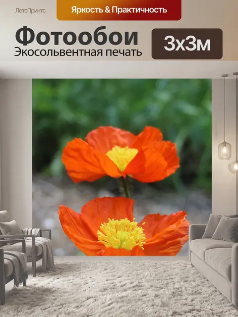 Фотообои Цветы
