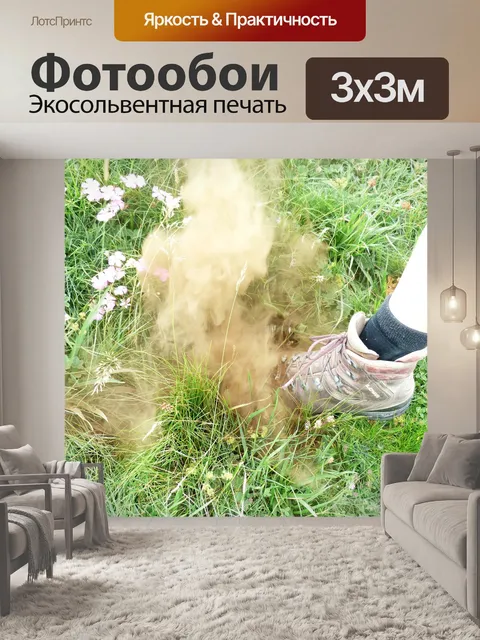 Фотообои Бовист