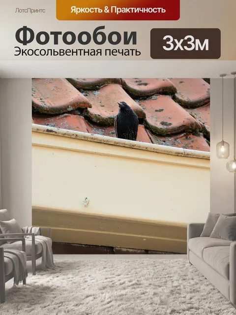 Фотообои Птицы