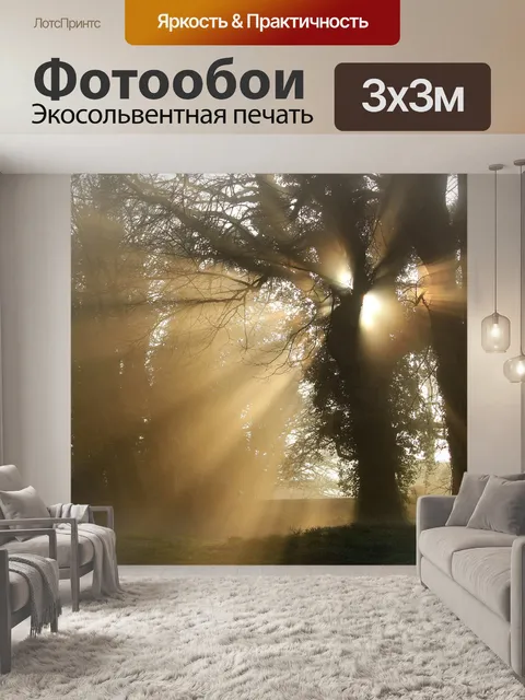 Фотообои Туман