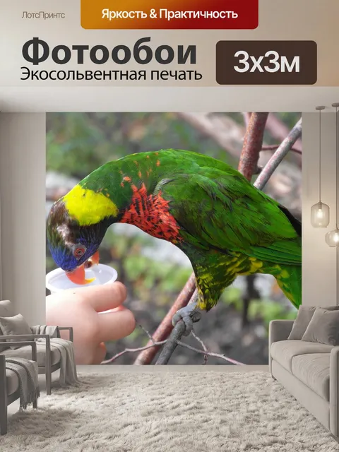 Фотообои Птица