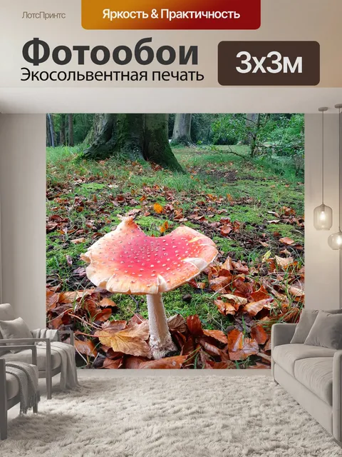 Фотообои Грибы