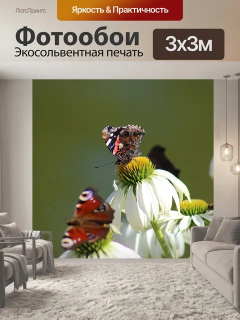 Фотообои Бабочки