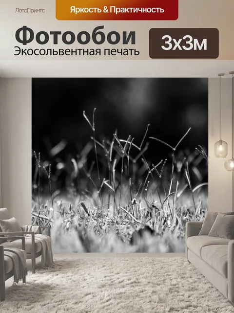 Фотообои Цветы