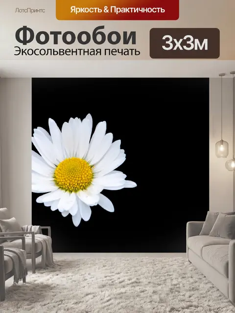 Фотообои Цветочная ромашка