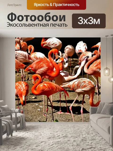 Фотообои Фламинго
