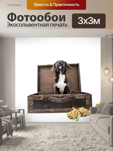 Фотообои Щенок с чемоданом