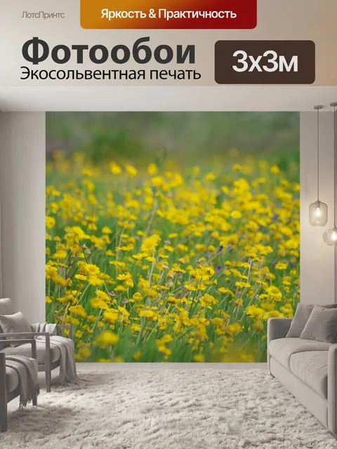 Фотообои Поле