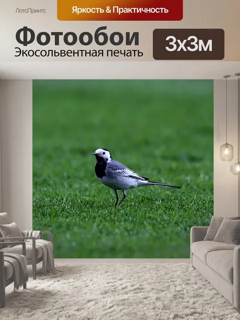 Фотообои Трава
