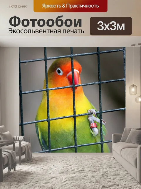 Фотообои Клетка