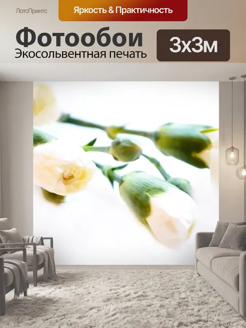 Фотообои Белые цветы