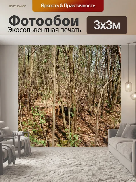 Фотообои Ранняя весна