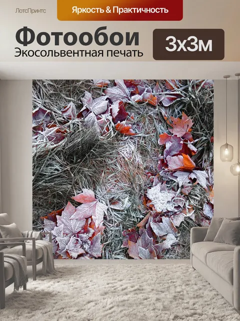 Фотообои Иней