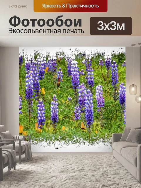 Фотообои Уайлдфлауэр Баннер