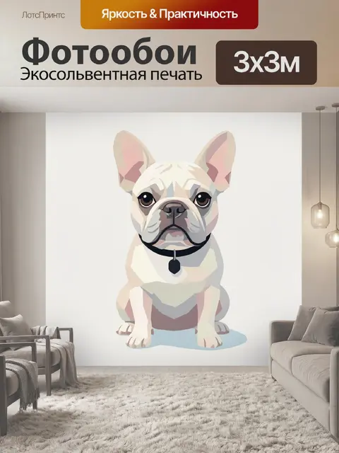 Фотообои Французский бульдог в минимализме