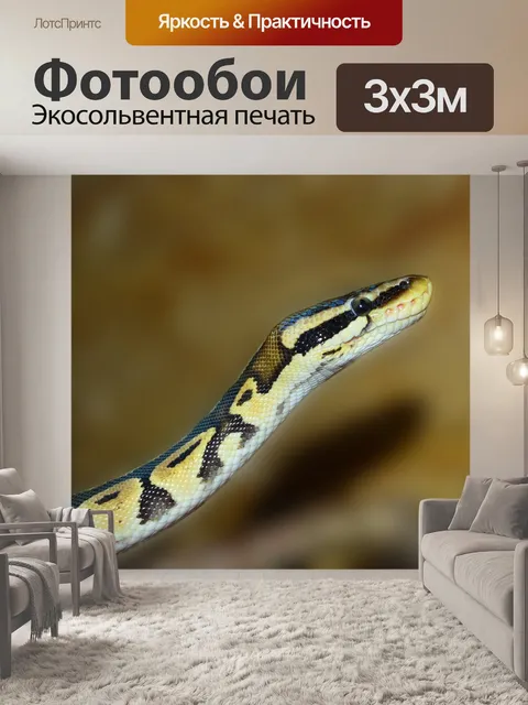 Фотообои Линия