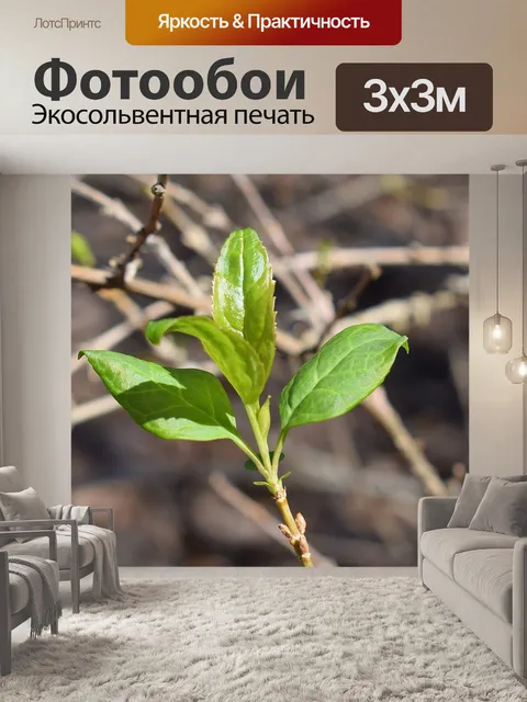 Фотообои Новые листья форсития