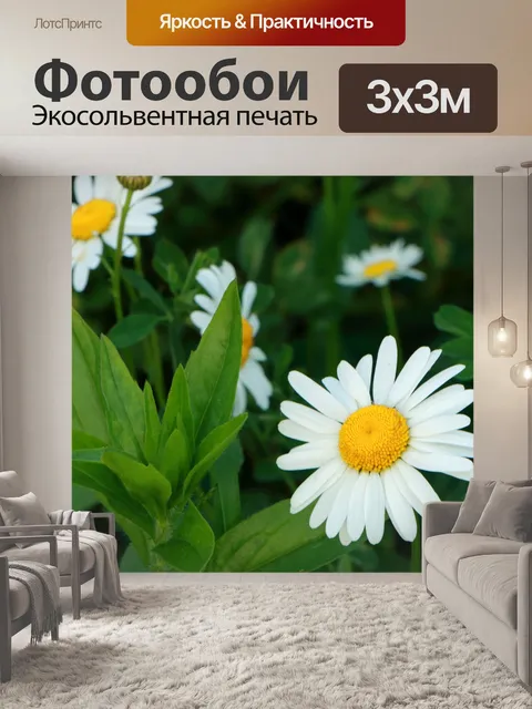 Фотообои Цветы