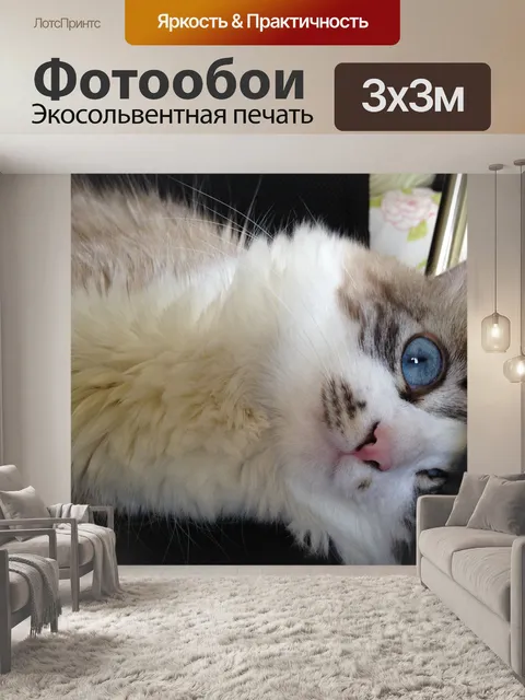 Фотообои Кошка