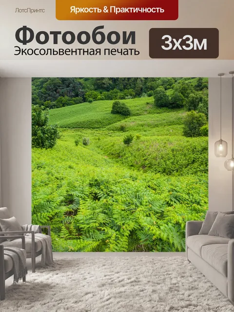 Фотообои Луг полный папоротников