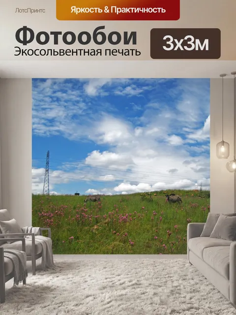 Фотообои немного зебры на луге