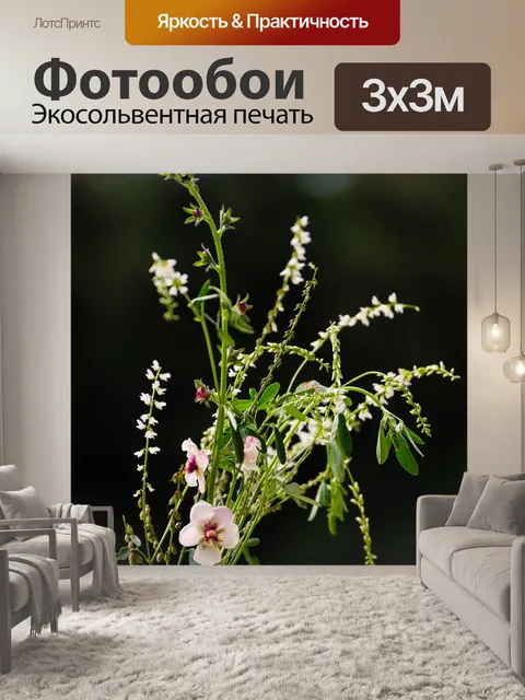 Фотообои Цветы
