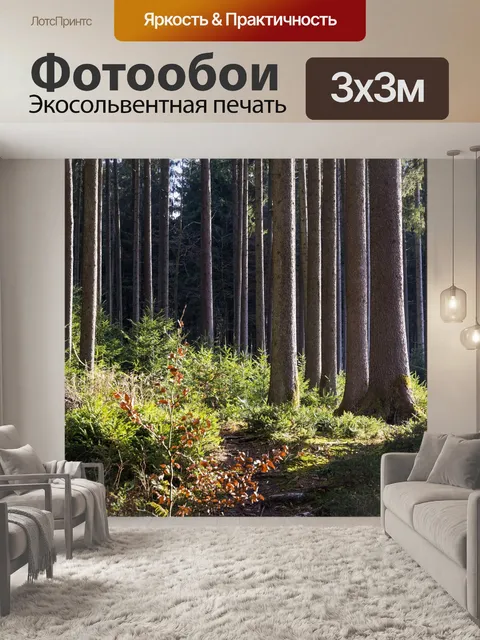 Фотообои Деревья