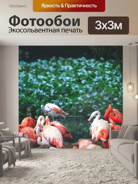 Фотообои Птицы