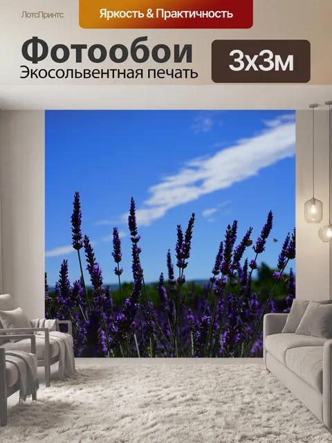 Фотообои Цветы лаванда