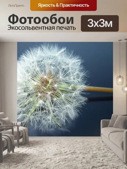 Фотообои Одуванчик