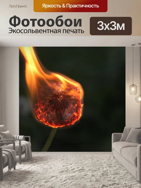 Фотообои Одуванчик