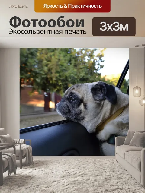 Фотообои Собака
