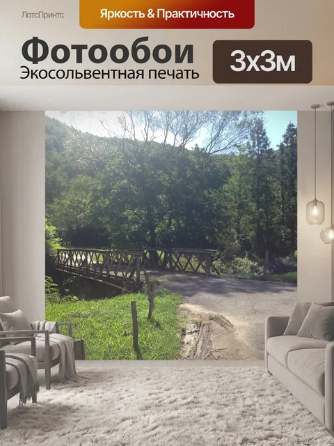 Фотообои Лес