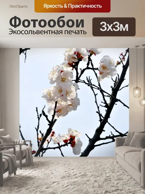Фотообои Цветок сливы